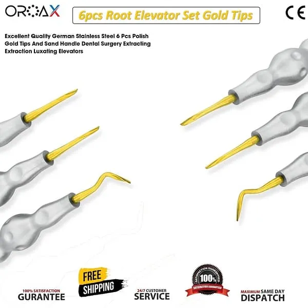 Dental Luxation Root Elevator Surgical Instruments