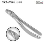 Tooth Forceps Fig 18A Upper Molars - Image 3