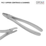 Tooth Forceps Fig #1 Upper Incisors and Canines