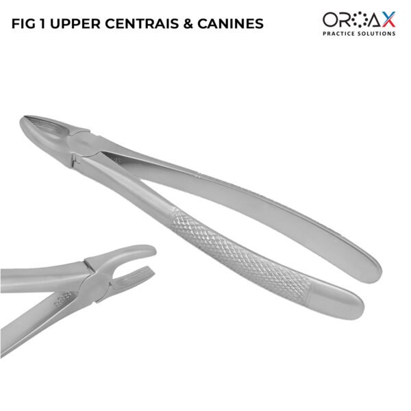 Tooth Forceps Fig #1 Upper Incisors and Canines