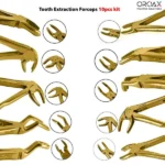 Tooth Extraction Forceps Gold