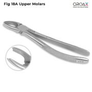 Tooth Forceps Fig 18A Upper Molars - Image 2