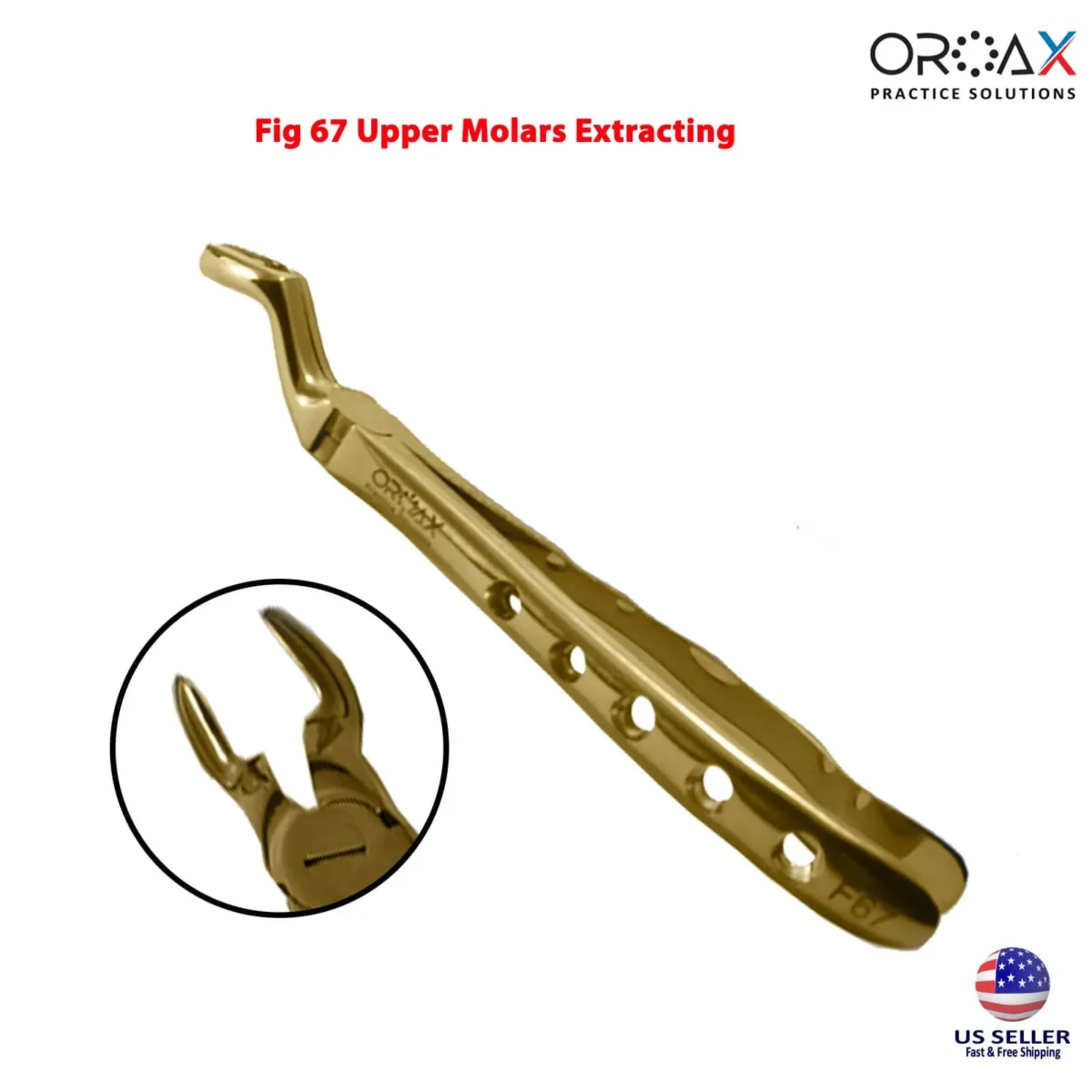 Tooth Extraction Forceps Gold