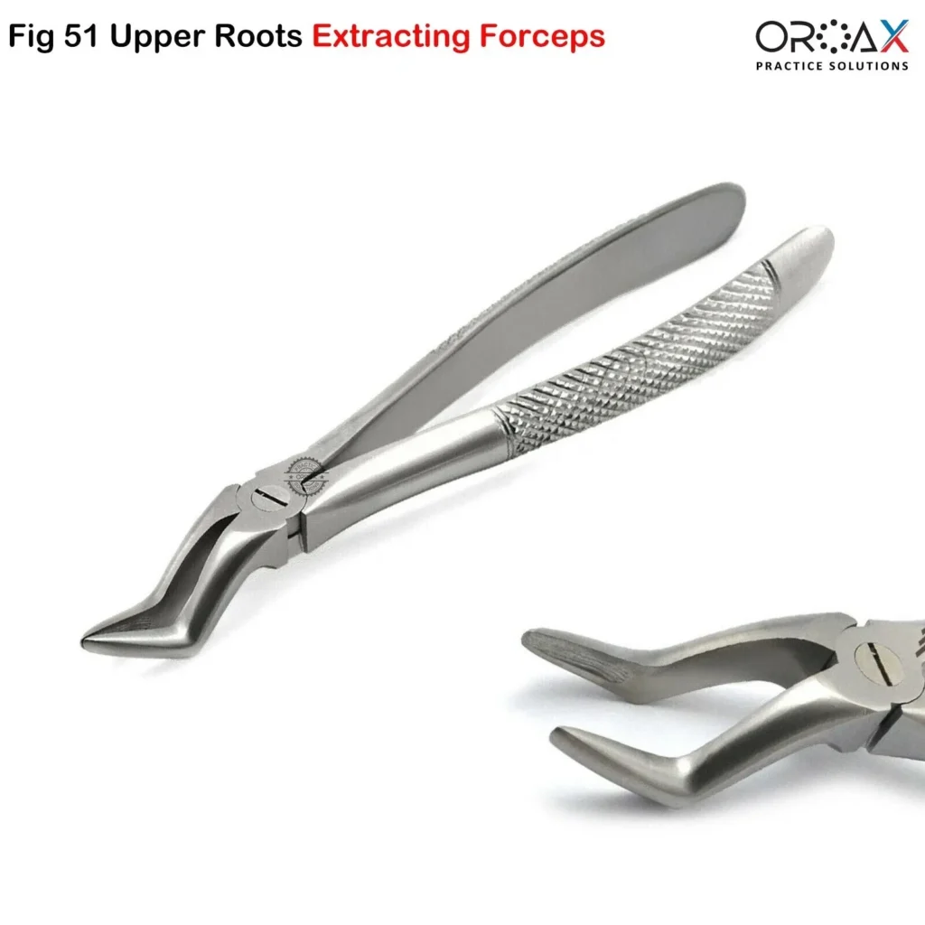 Tooth Forceps Fig #51