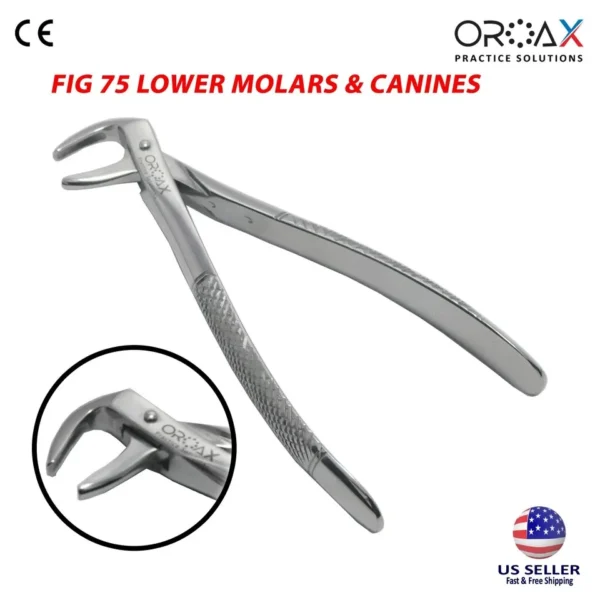 Tooth Forceps Fig #75 Lower Molars & Canines
