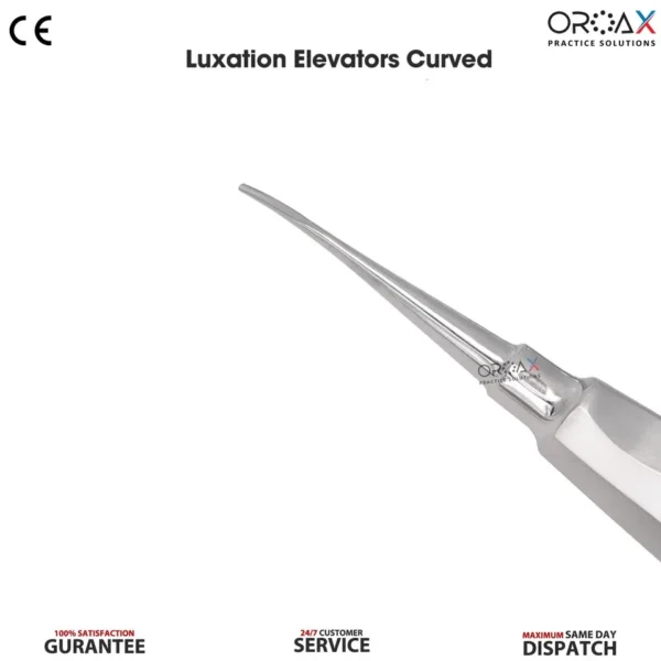 Teeth Luxation Extracting Elevator Curved 3mm Surgical Tool