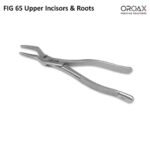FIG 65 Upper Incisors & Roots