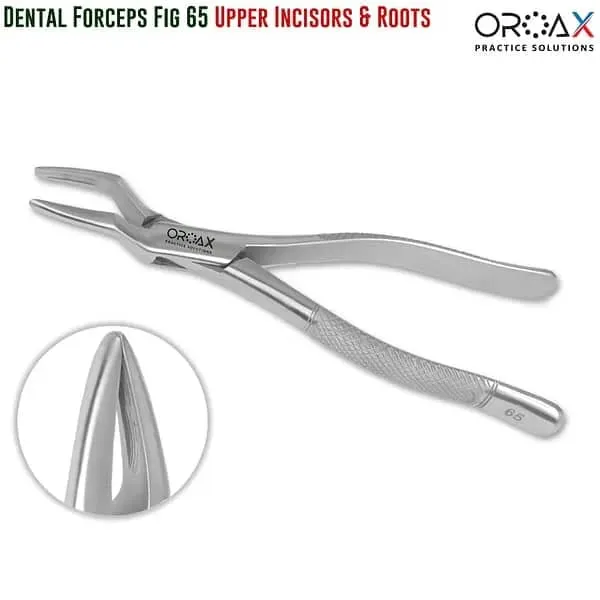 FIG 65 Upper Incisors & Roots
