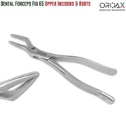 FIG 65 Upper Incisors & Roots - Image 3