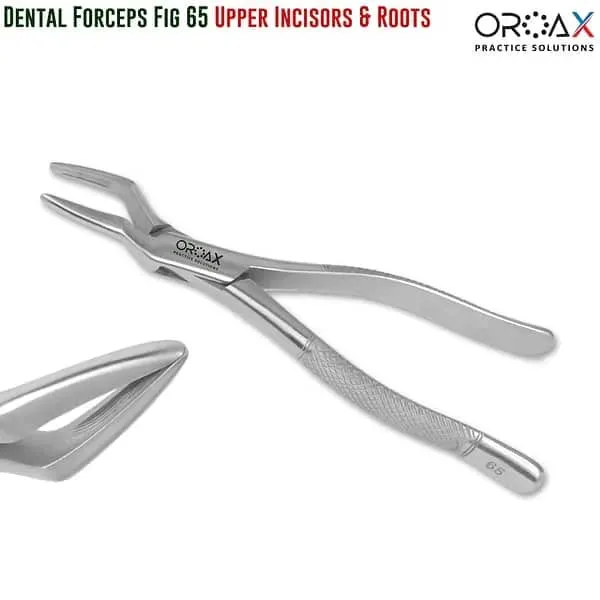 FIG 65 Upper Incisors & Roots