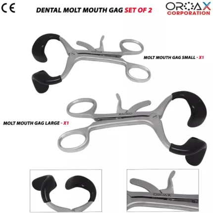 2pcs Molt Mouth Gag