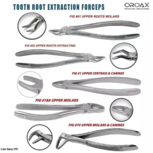 Dental Extracting Forceps Oral Surgery Instruments