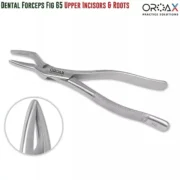 Dental Extracting Forceps Oral Surgery Instruments - Image 6