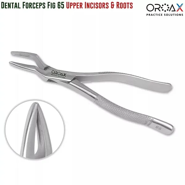 Dental Extracting Forceps Oral Surgery Instruments