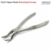 Dental Extracting Forceps Oral Surgery Instruments - Image 5