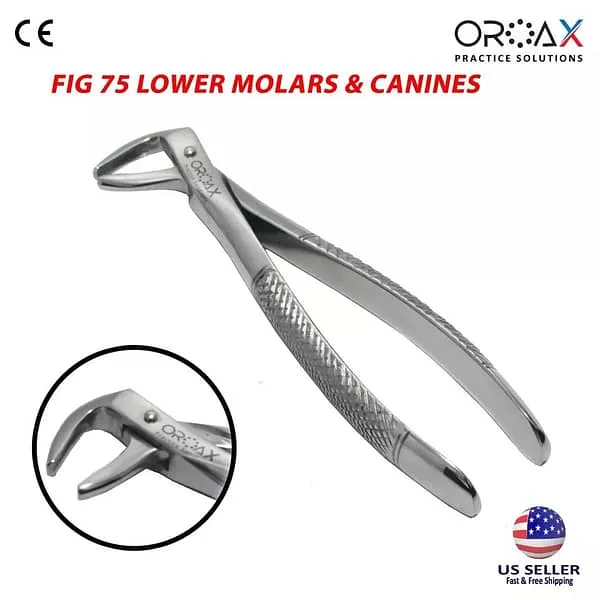 Dental Extracting Forceps Oral Surgery Instruments