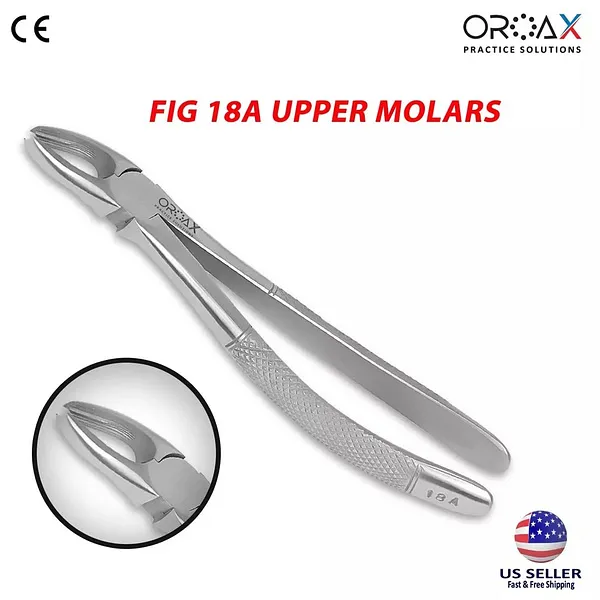 Dental Extracting Forceps Oral Surgery Instruments