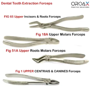 4Pcs Oral Dental Extraction Forceps Surgery Instrument