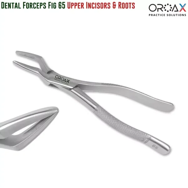 4Pcs Oral Dental Extraction Forceps Surgery Instrument