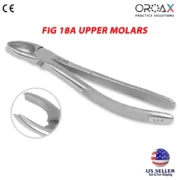 4Pcs Oral Dental Extraction Forceps Surgery Instrument - Image 4