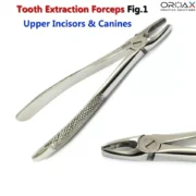 4Pcs Oral Dental Extraction Forceps Surgery Instrument - Image 2